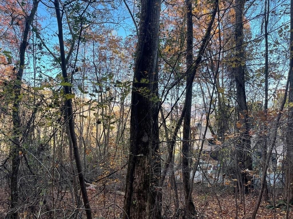 Hayesville Vacant Lot in Golf Community
