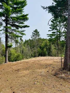 Land, Land O Lakes, WI