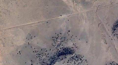 Expansive Land in Concho, Arizona