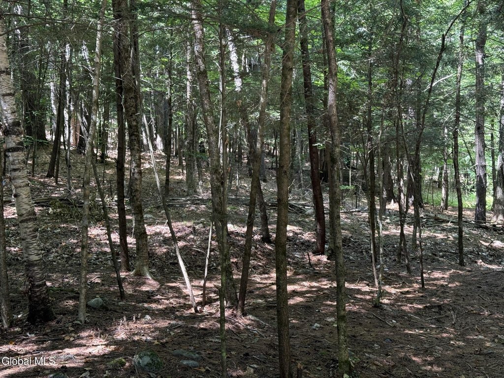 Picture 9