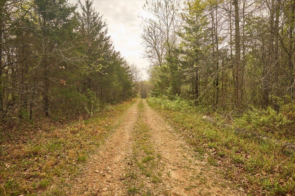 Unrestricted Land in Mountain Grove