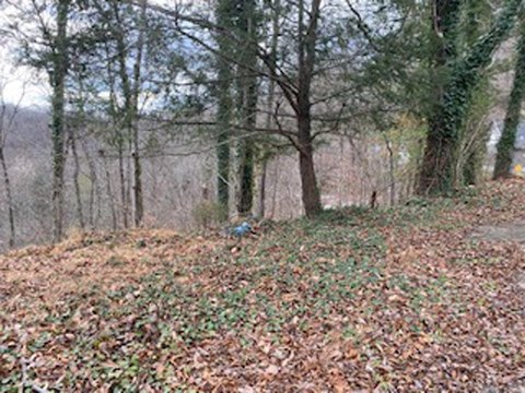 Pikeville Residential Land with Views