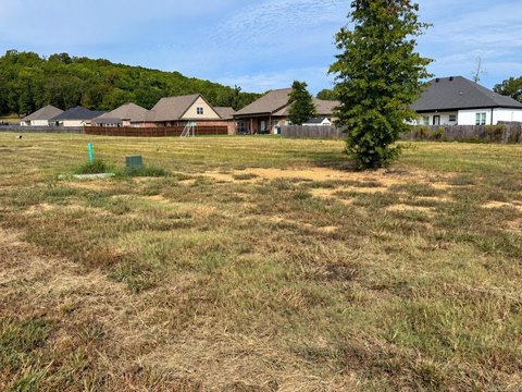 Vacant Land, Greenbrier, AR
