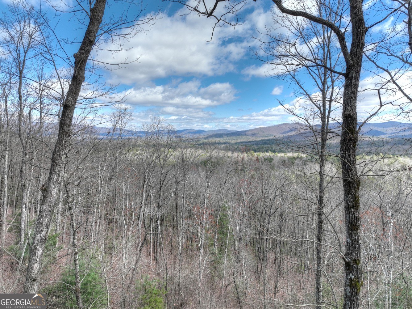 Ellijay, GA Land Homesite