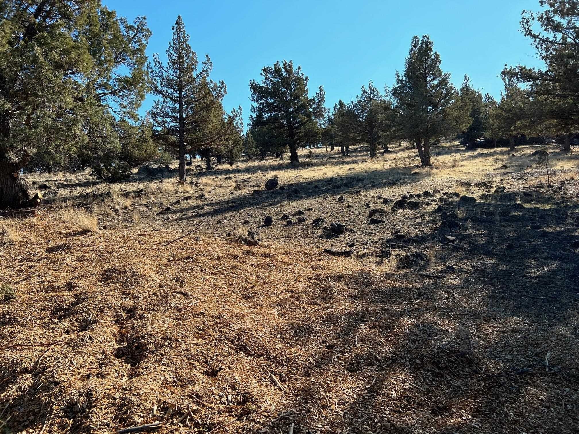 Oversized Lot in Lake Shastina