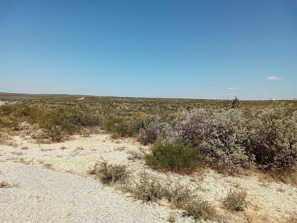 Picture 6