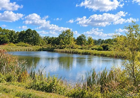 Land, Owensville, MO