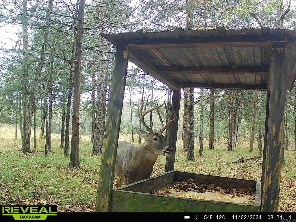 Picture 3