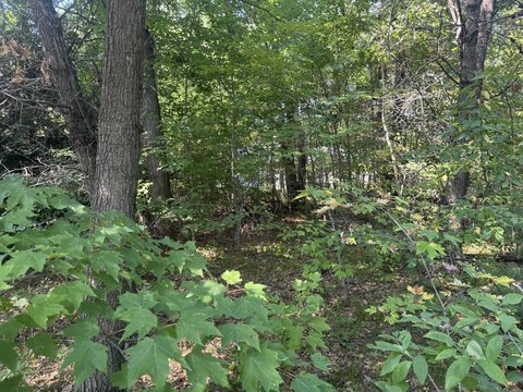 Lots & Acreage, Wisconsin Dells, WI