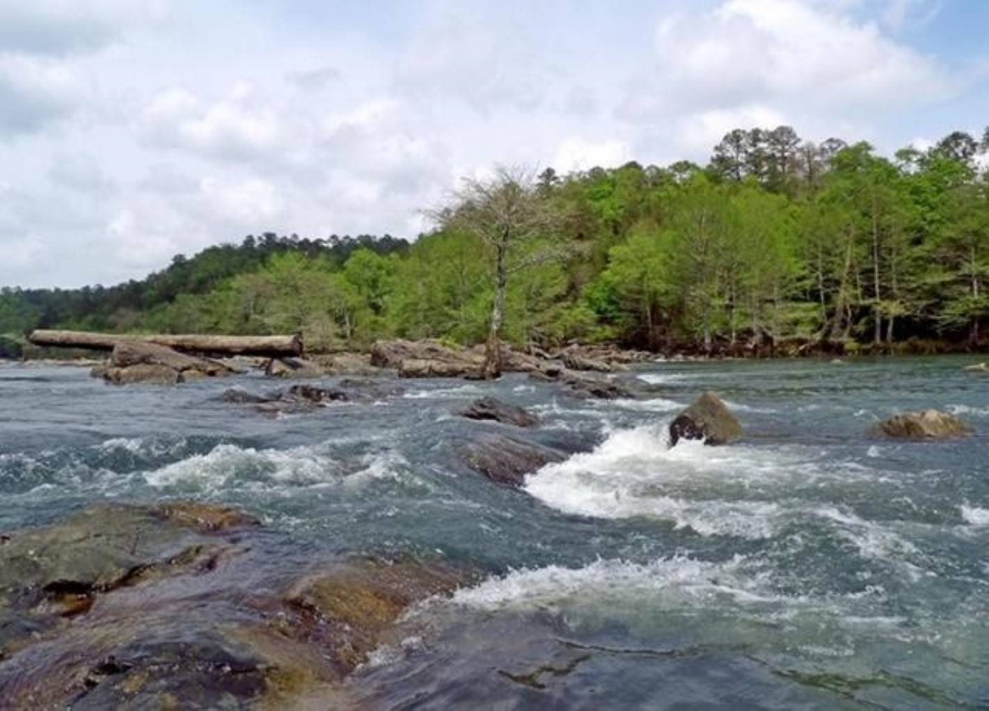 Land Near Mountain Fork River