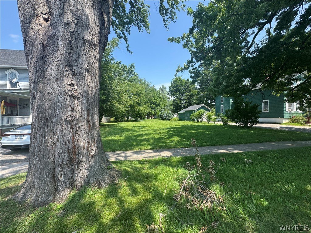 Picture 3