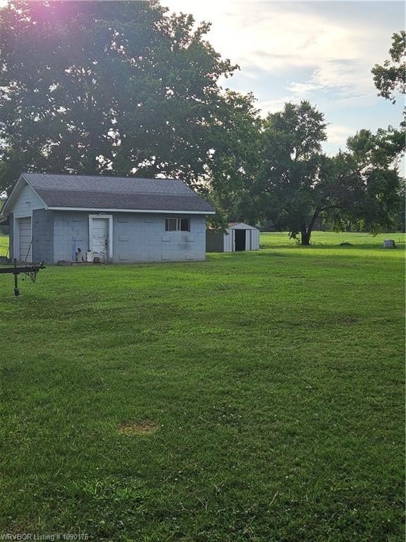 Picture 11