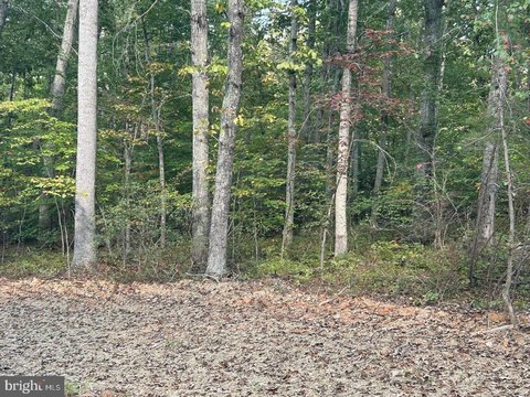 Land, ELKWOOD, VA