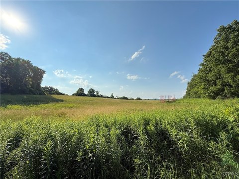 93+ Acres Ideal Camillus Development