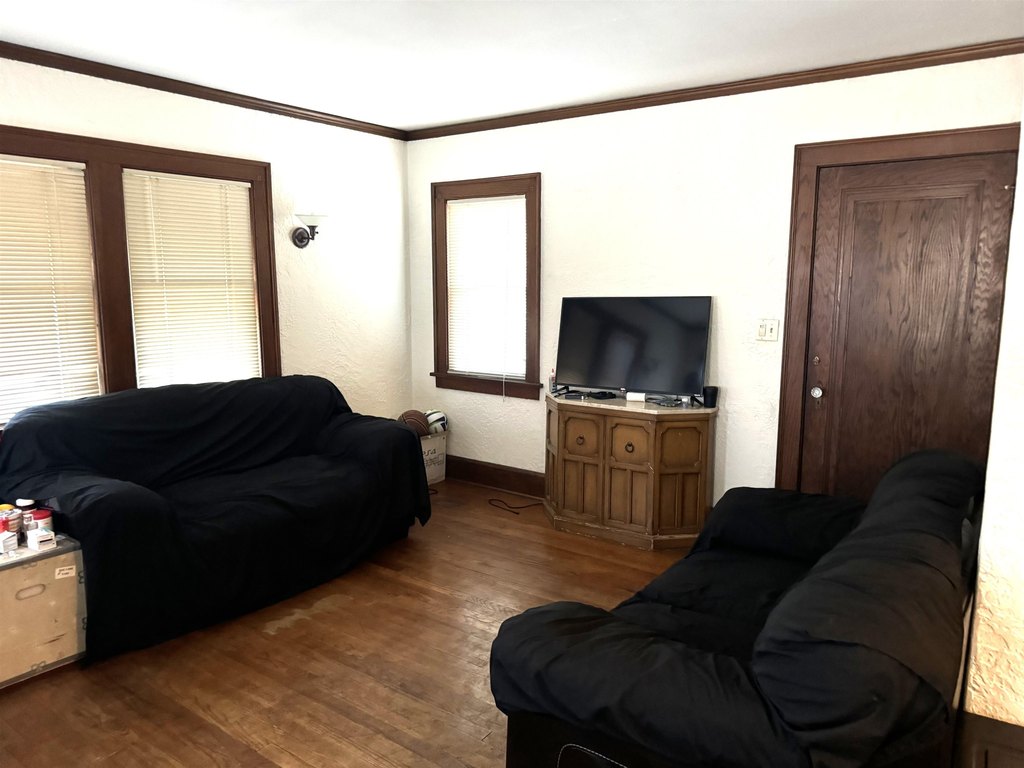 Picture 15