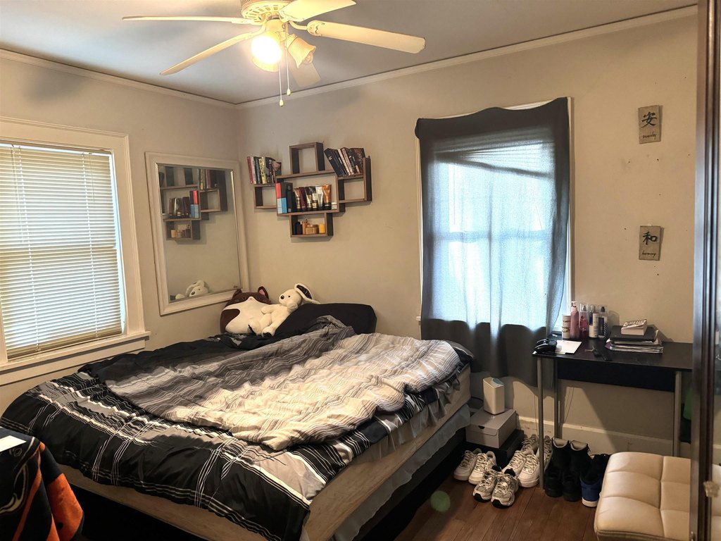 Picture 16