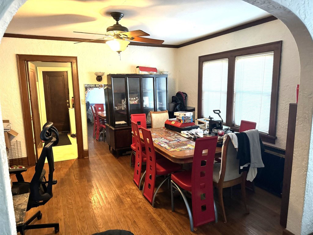 Picture 14