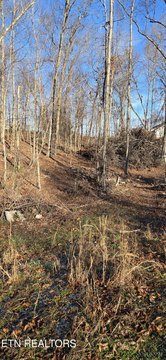 Wooded Lot in Nice Subdivision