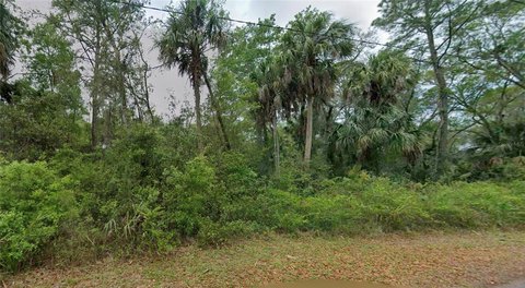 Vacant Land in Crystal River