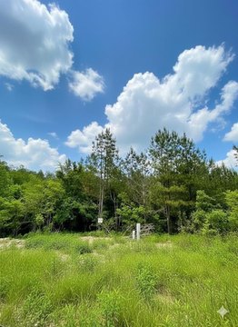 LAND - Broken Bow, OK