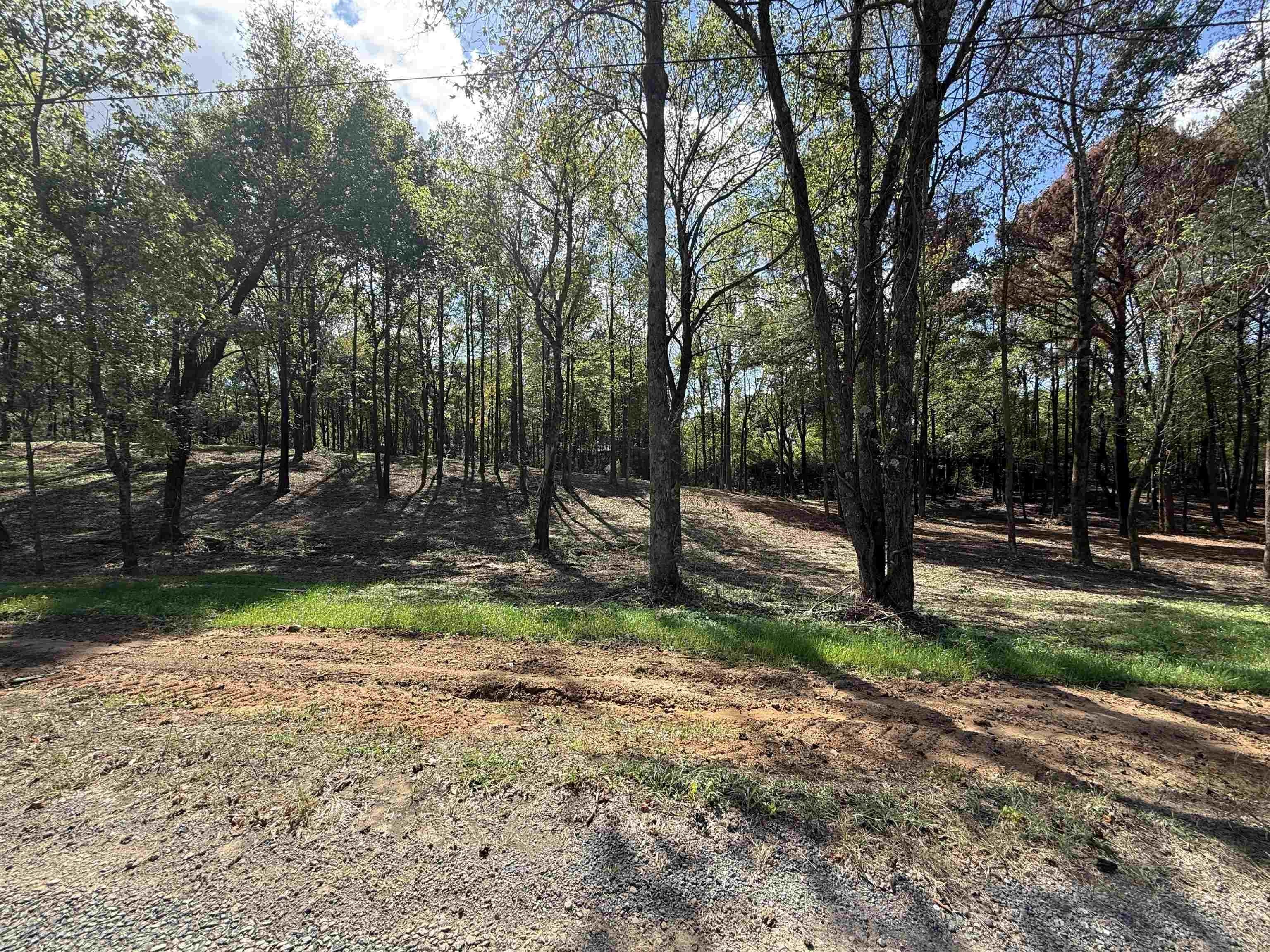 Residential Land in Vinemont, Alabama