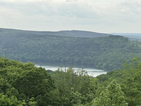 Residential Lot - Edgemont, AR