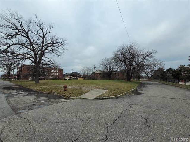 Picture 8
