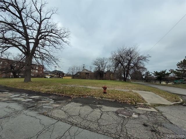 Picture 7