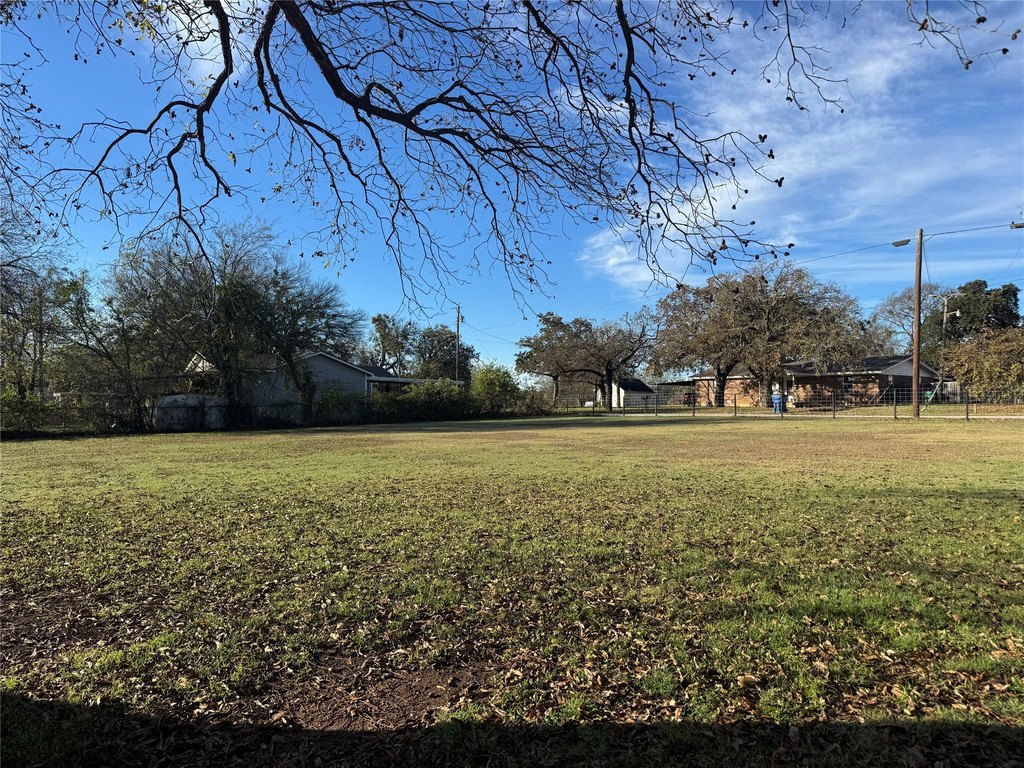 Picture 15