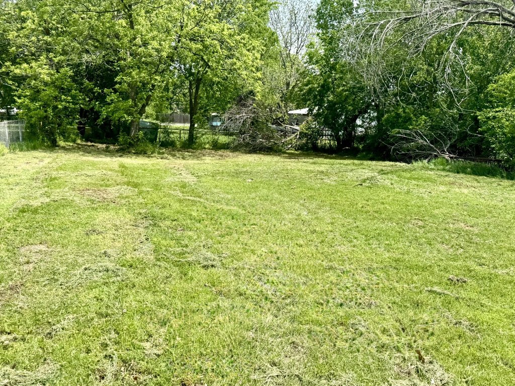 Picture 5