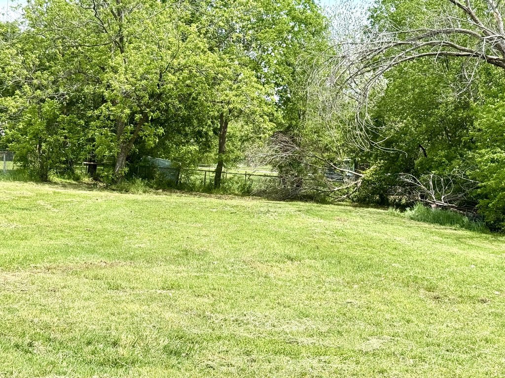 Picture 7