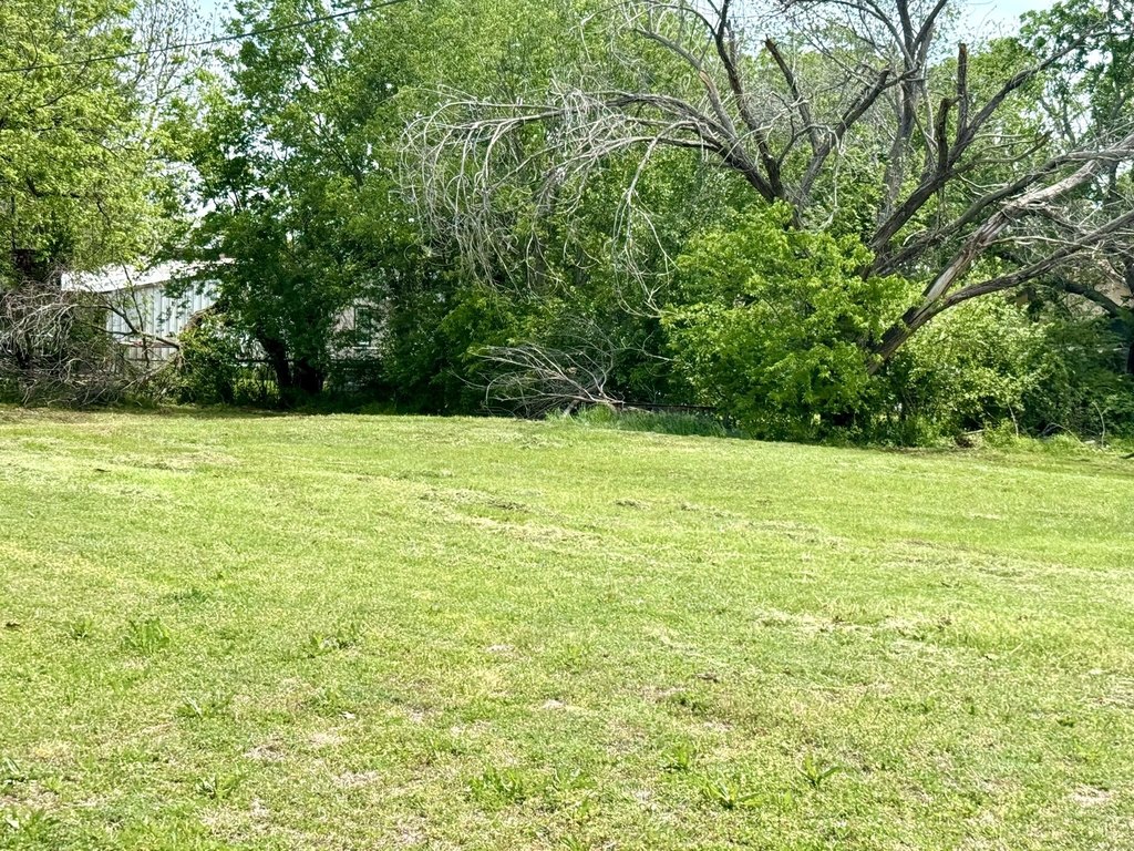 Picture 8
