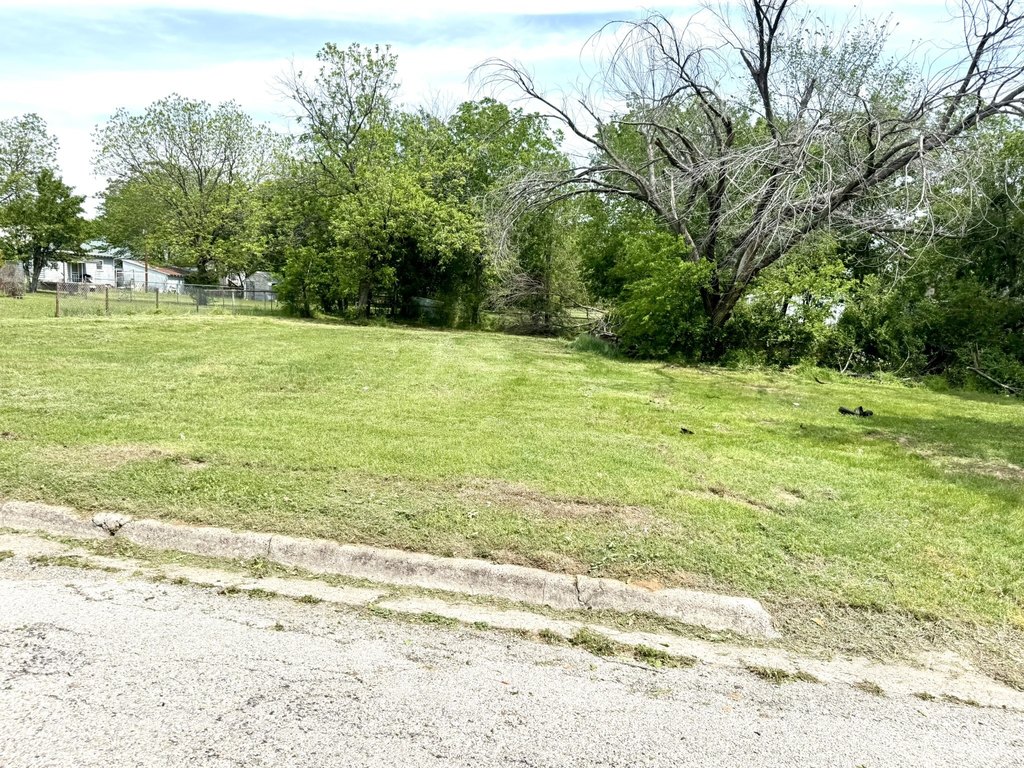 Picture 3