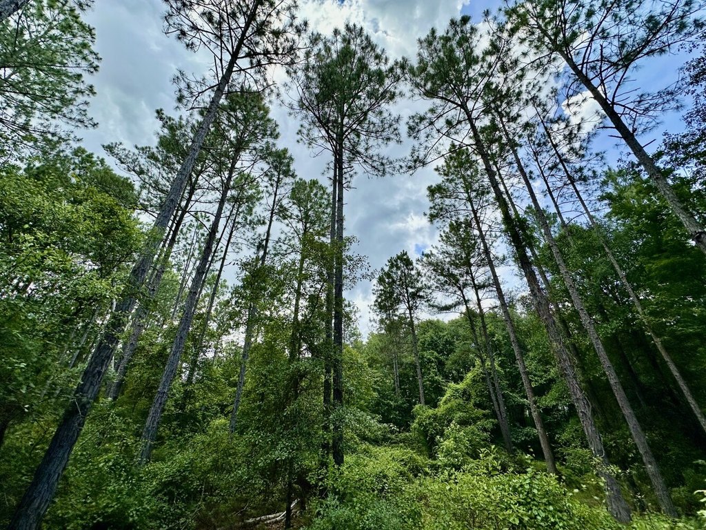 Picture 23