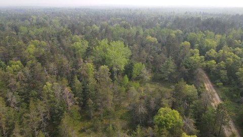 50 Acres Hunting Land, Grayling