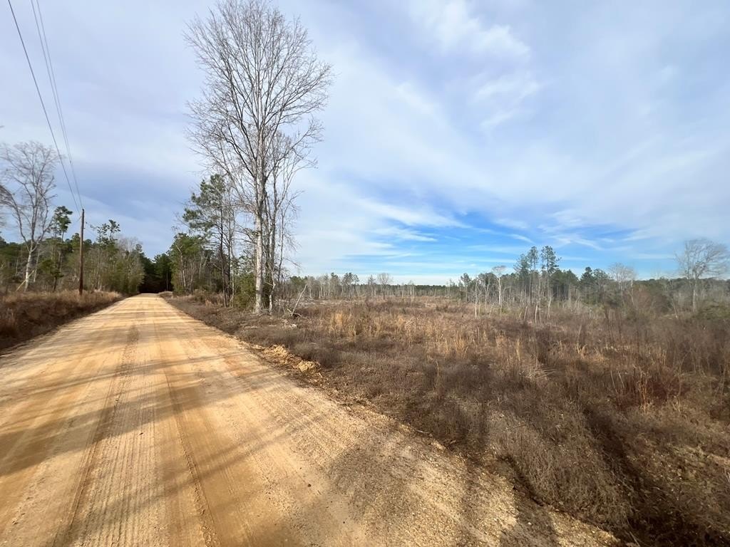 16 Acres in Wayne County
