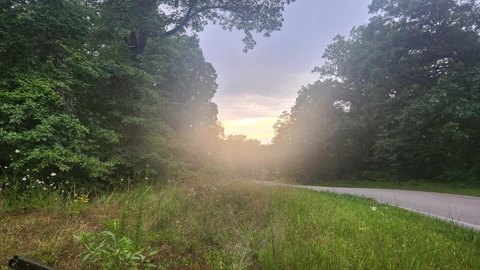 Wooded Lot on Cumberland Plateau