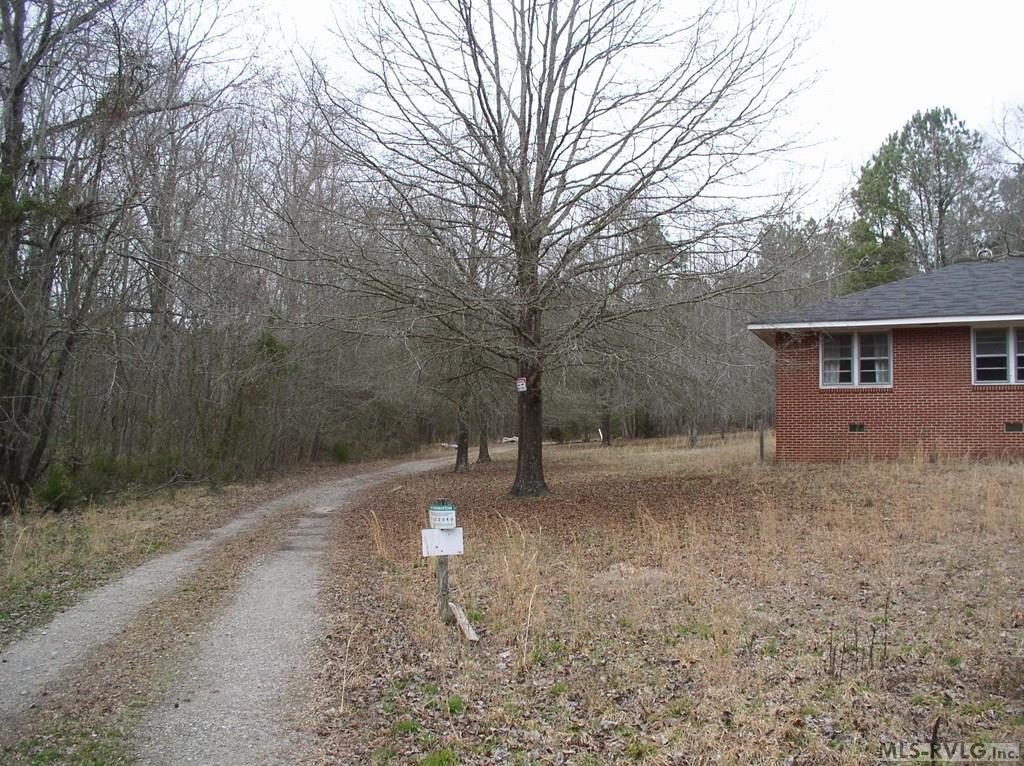 Picture 11