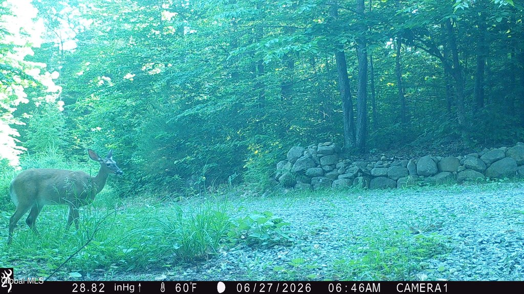 Picture 16