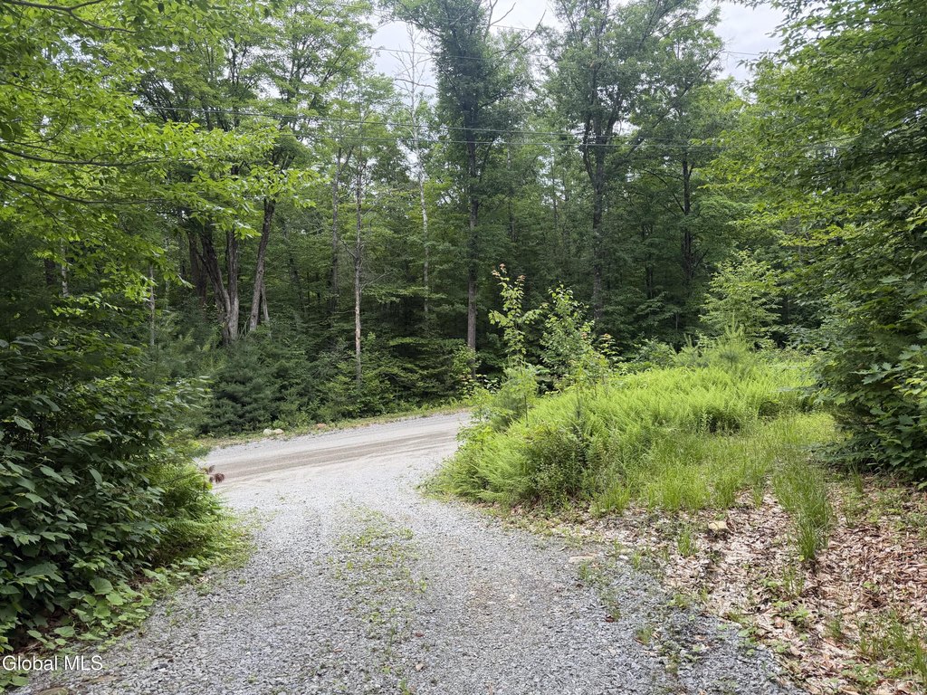 Picture 14