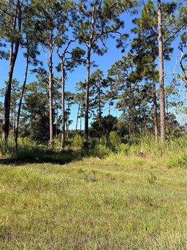 Land, ST CLOUD, FL