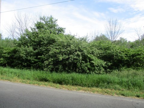 LAND - FENNVILLE, MI