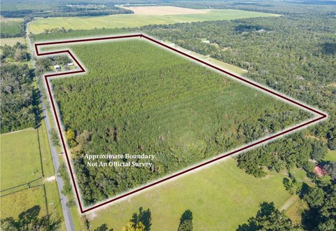 Agricultural Land with Timber