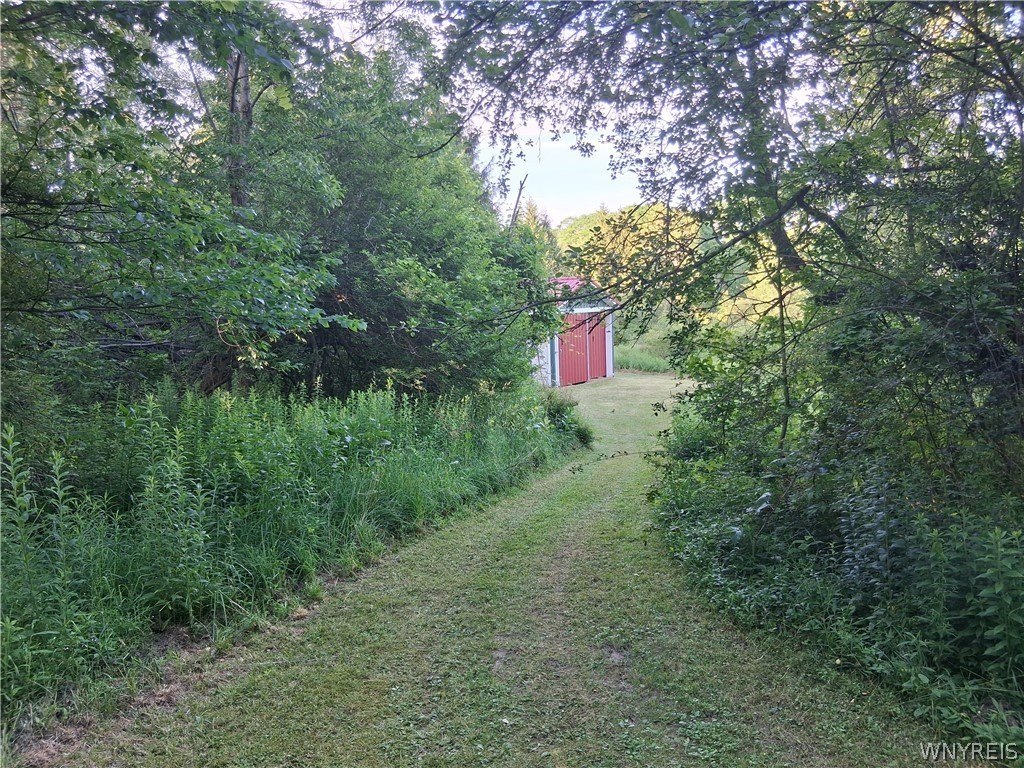 Picture 27