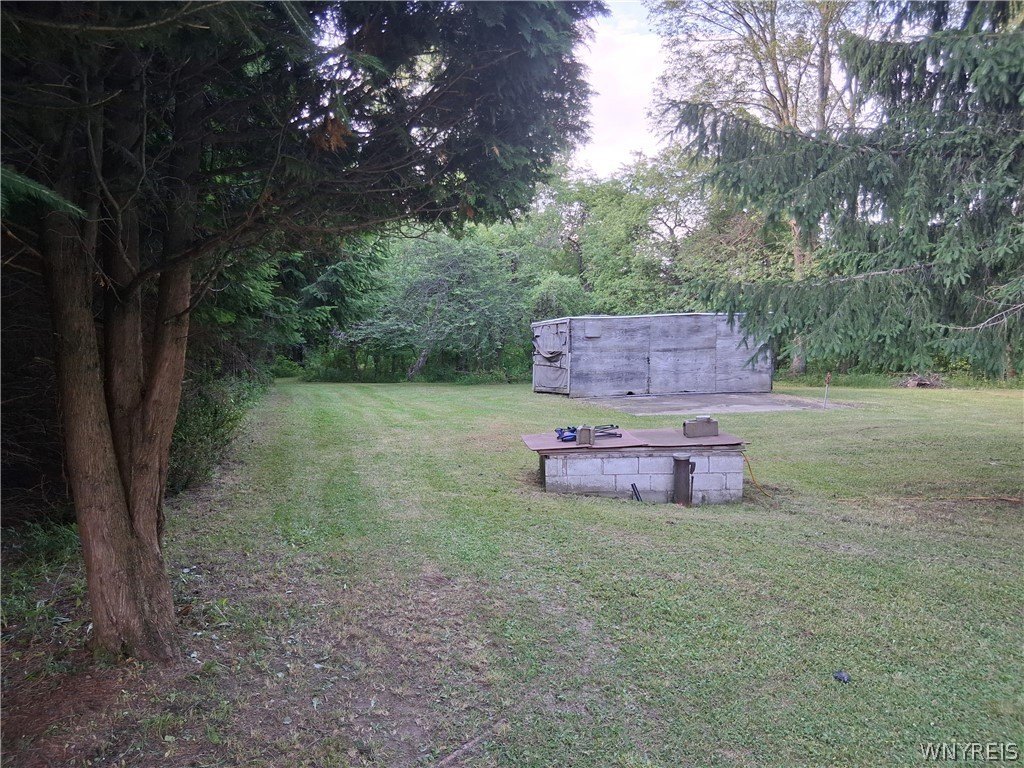 Picture 22