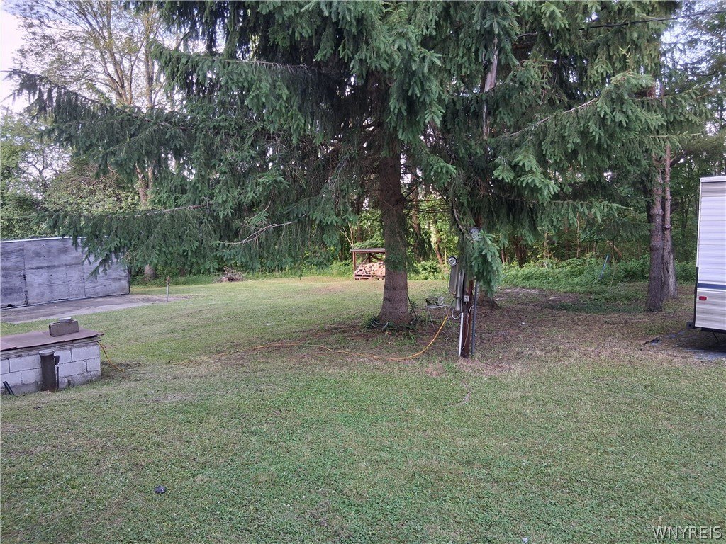 Picture 21