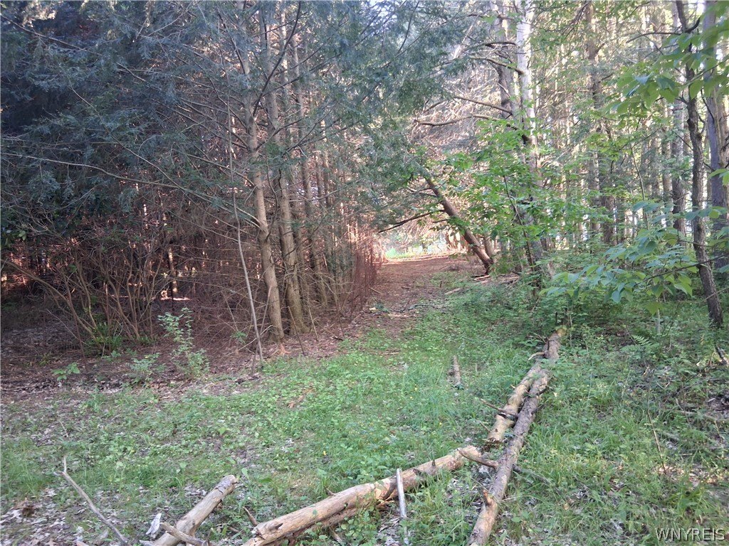 Picture 31