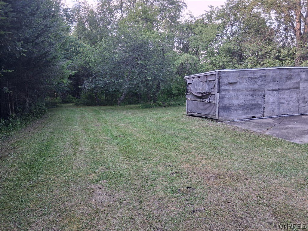 Picture 24