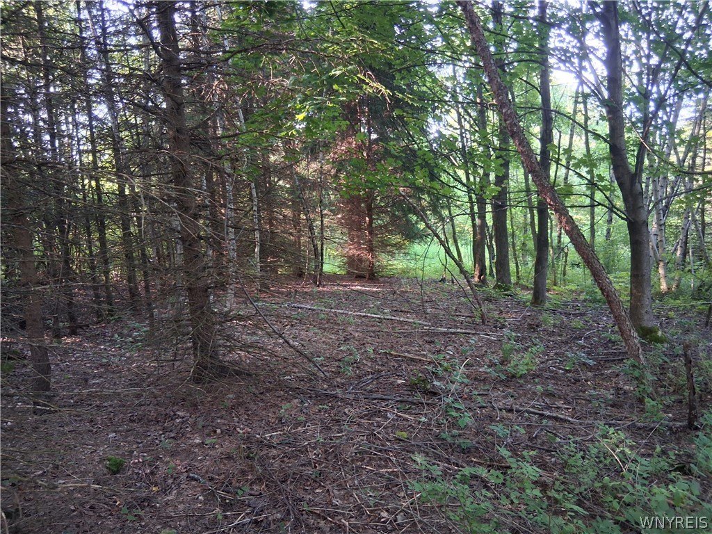 Picture 29