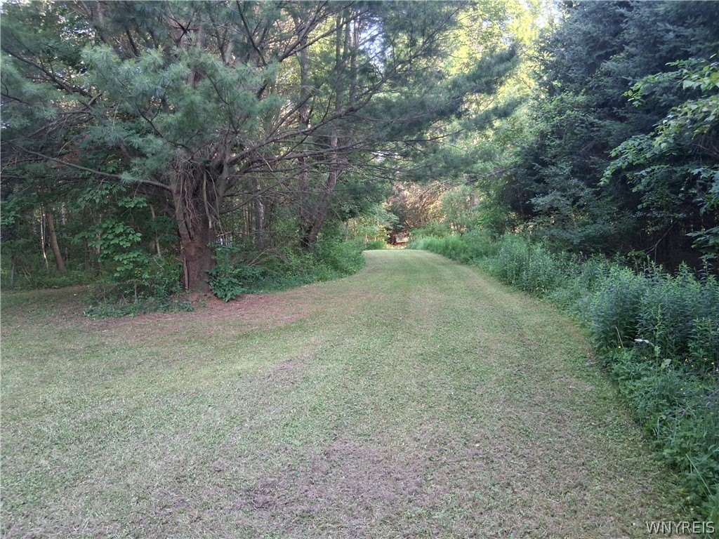 Picture 30